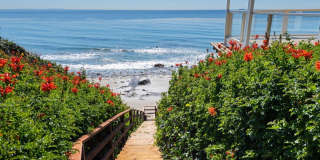 33800 Pacific Coast Hwy Gallery 37