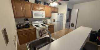 156 DRIFTWOOD CT Gallery 3