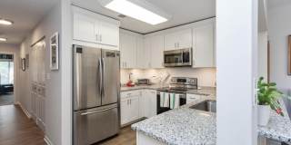 3 SPA CREEK Landing Gallery 11