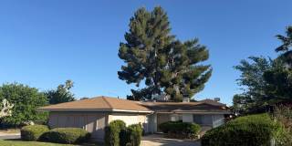 Victorville Green Tree Home- Refurbished 4 Bedrooms, 2 Bathrooms, New Paint, Gallery 39