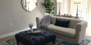 Crystal Springs Gallery 17