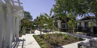 Pescadero Apartments Pescadero Apartments Gallery 1