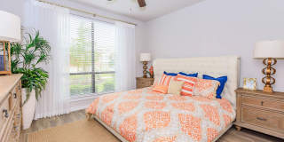 San Remo Gallery 37