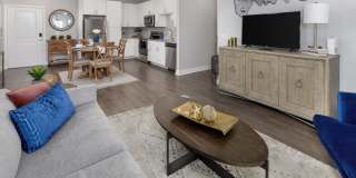 Argyle Lake at Oakleaf Town Center Gallery 6