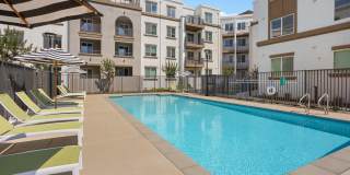 Alta Westwind Gallery 1