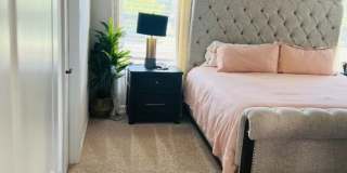 Spacious 4BR House in Boiling Springs Gallery 19