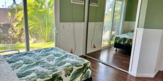 Tropical oasis Gallery 15