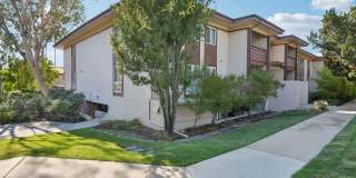 Upstairs Bright 2 bedroom Condo Gallery 22