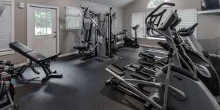 The Meadows Gallery 10