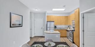 The Cosmopolitan at Reston Town Center Gallery 29