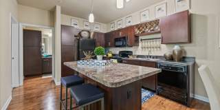 Waterline Estero Gallery 9