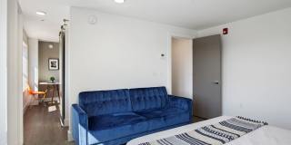 Netherland Gallery 19