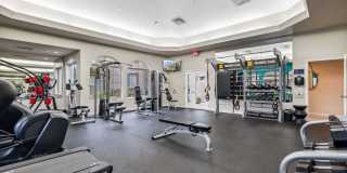 Silverbell Springs Gallery 33