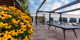 Copal Bellevue Apartments Gallery 51