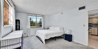 3001 W Rolling Hills Cir Gallery 5