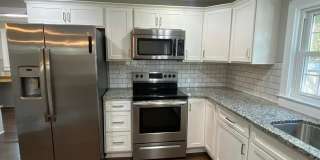 8 Lester Avenue Gallery 6