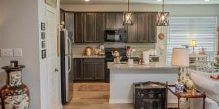 6921 Sulphur Court Gallery 8