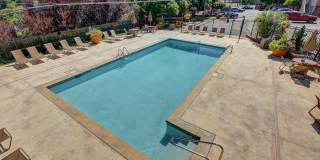 Edelweiss Apartments Gallery 2