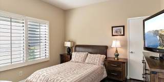 54838 Oak Tree Gallery 30