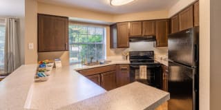 The Seasons Gallery 6