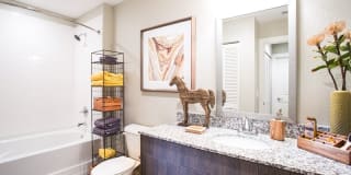 Shalimar at Davie Gallery 4