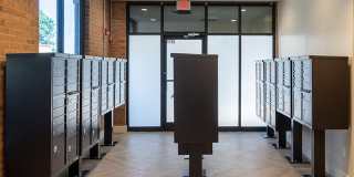 The Harrison Gallery 8