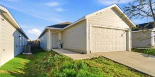 4438 ZOE PASS Gallery 2