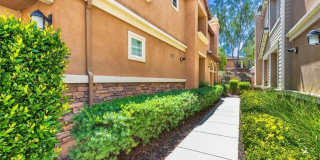 42942 Avenida Amistad Gallery 2