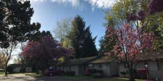 Janet Court Gallery 14