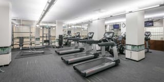 Alban Towers Gallery 42