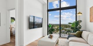 The Tropic Gallery 29