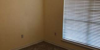 Available July 14, 2026 – 4 Bedroom Home in Navarre! Gallery 10