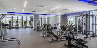 Casa Mara Gallery 44