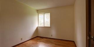 Bright spacious 4-bedroom 2.5 bath home in Bellevue Gallery 16