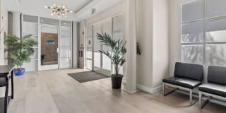 Palms Court Gallery 22