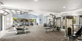 Avana Star Lake Gallery 91