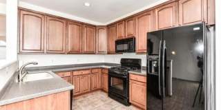 21759 LADYSLIPPER Square Gallery 10