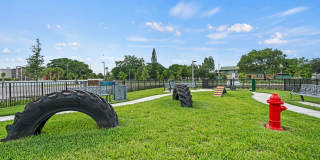 Edera Palm Springs Gallery 33