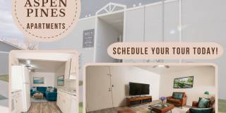 Aspen Pines Gallery 8