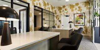 Edera Gallery 22