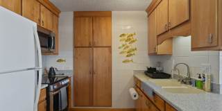 Relaxing 1BR/1BA Condo in Honolulu Gallery 10