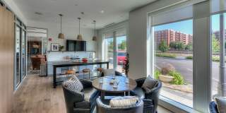 Ellison Apartments Gallery 31