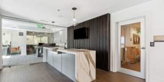 Sofi Lyndhurst Gallery 30