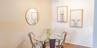 Z53 Apartments Gallery 4