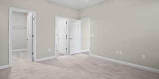 5151 Foxtail Pine Street Gallery 23