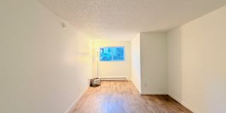The Court at Northgate Gallery 60