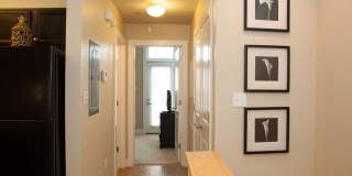 River Garden on St Andrew Gallery 12