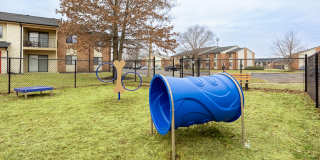 Harvest at Kokomo Gallery 13