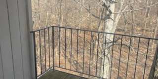 20253 SHIPLEY Terrace Gallery 6