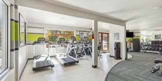 The Hamptons Gallery 6